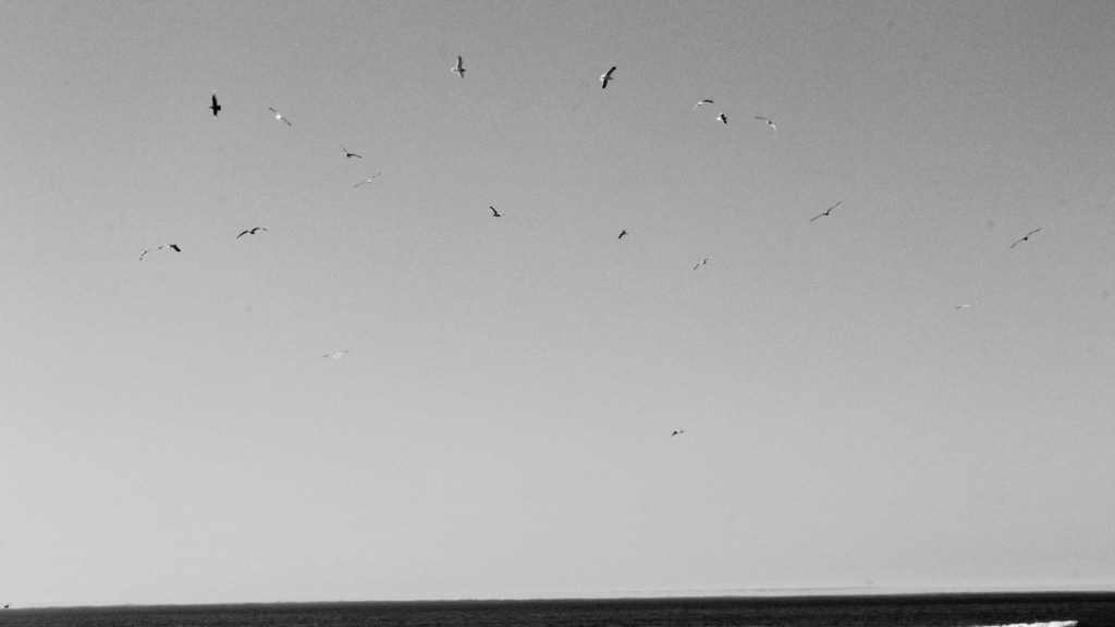 St. John's College Winter Break