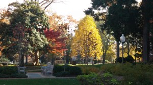 The new "Liberty Tree" shines in a magnificent gold.