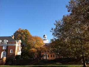 McDowell Hall among gold and brown.