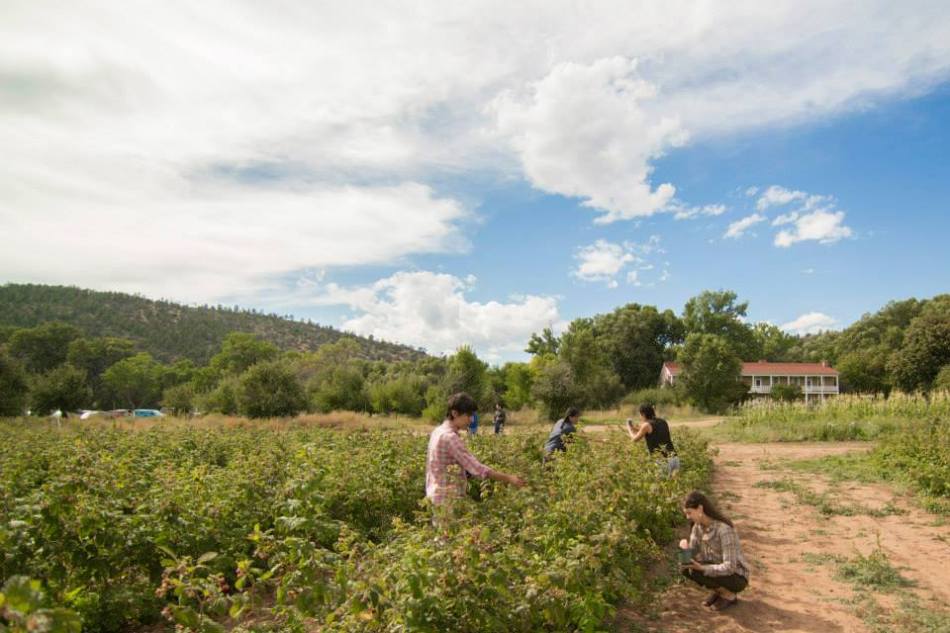 12039427_1656875547886636_715945267413798596_n